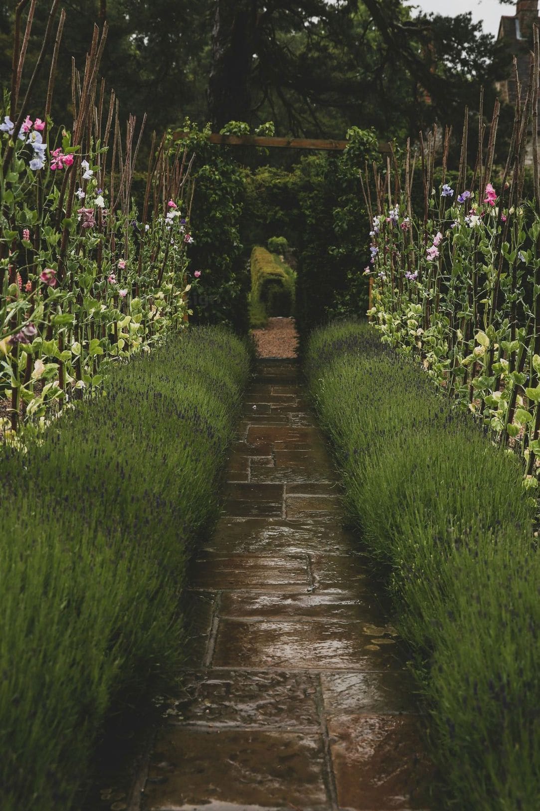 Jardin Vert & Design 1