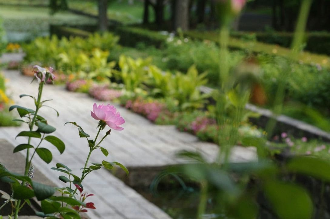 Jardin Vert & Design 12