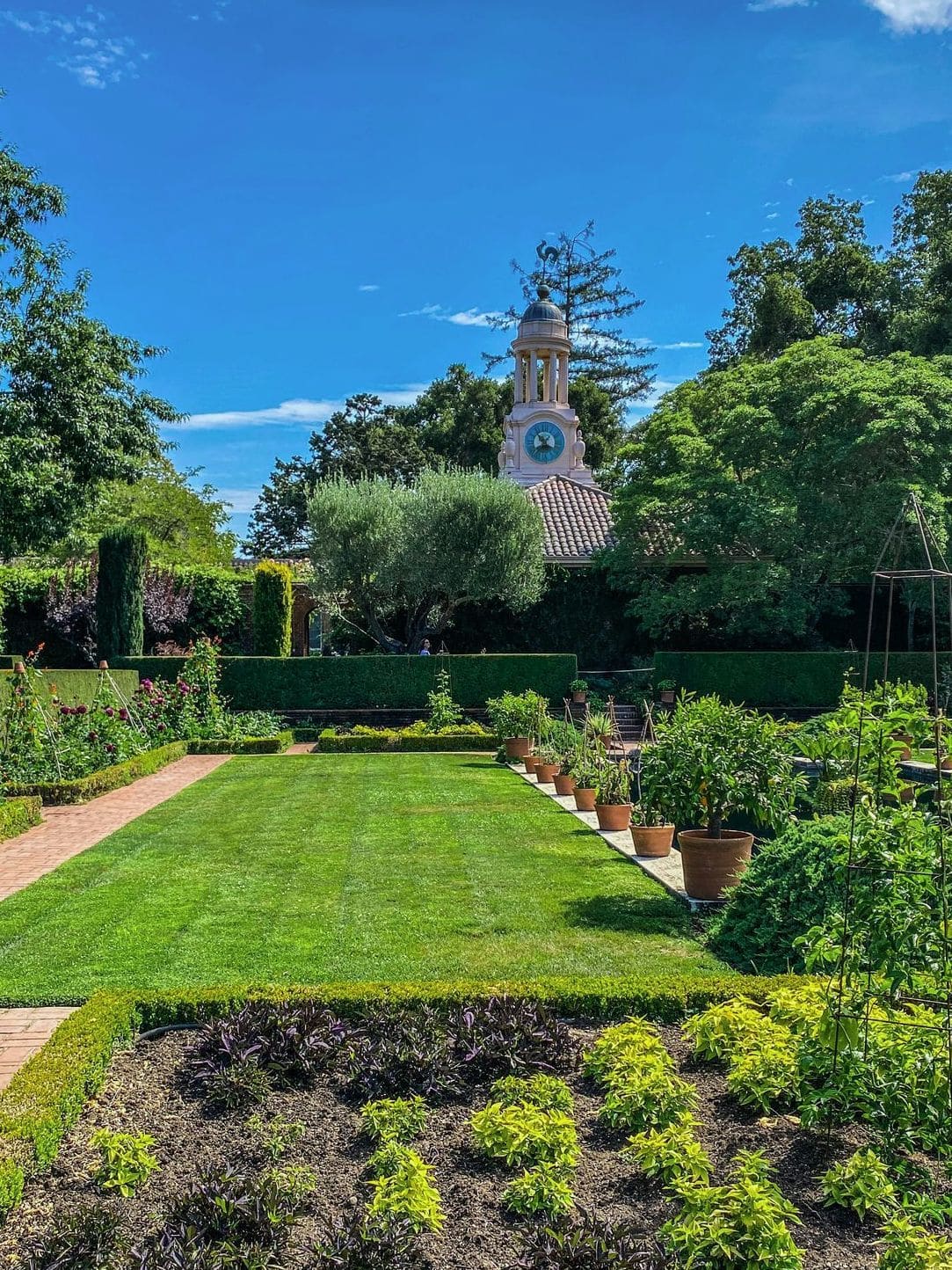 Jardin Vert & Design 14