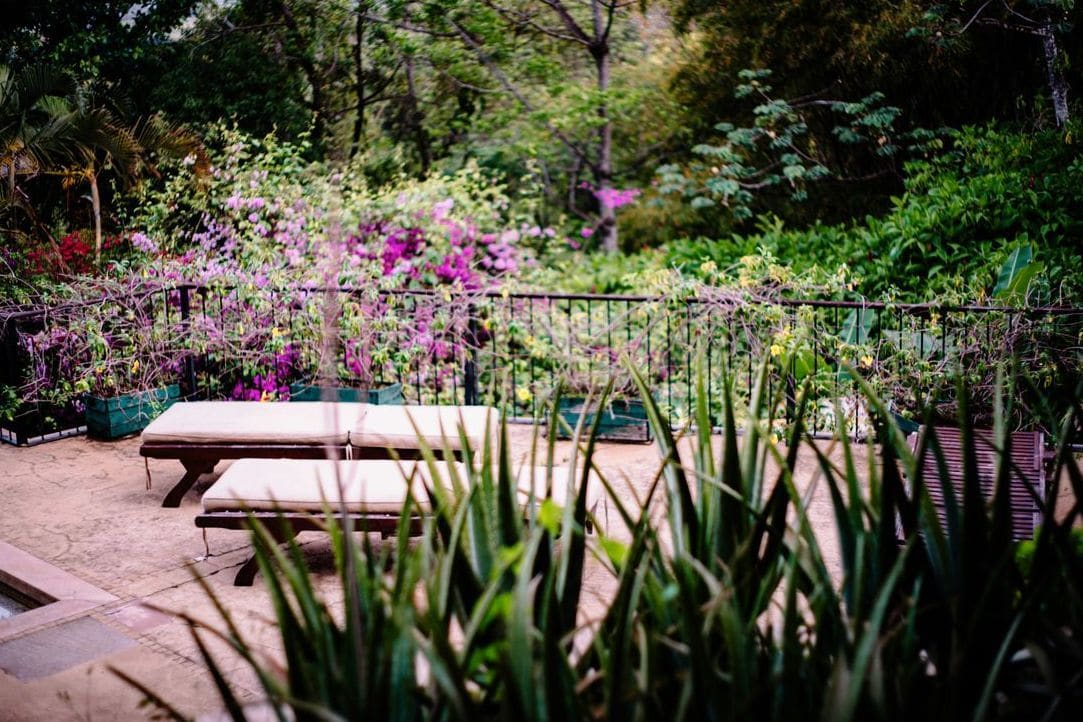Jardin Vert & Design 2