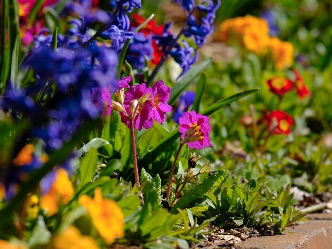 Jardin Vert & Design 4