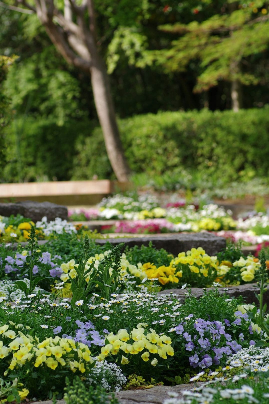 Jardin Vert & Design 9