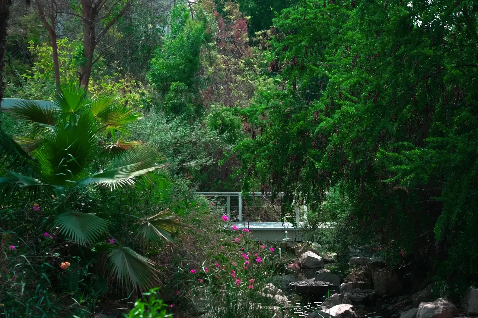 Jardinage nouveau pour un extérieur soigné, simple et accueillant.