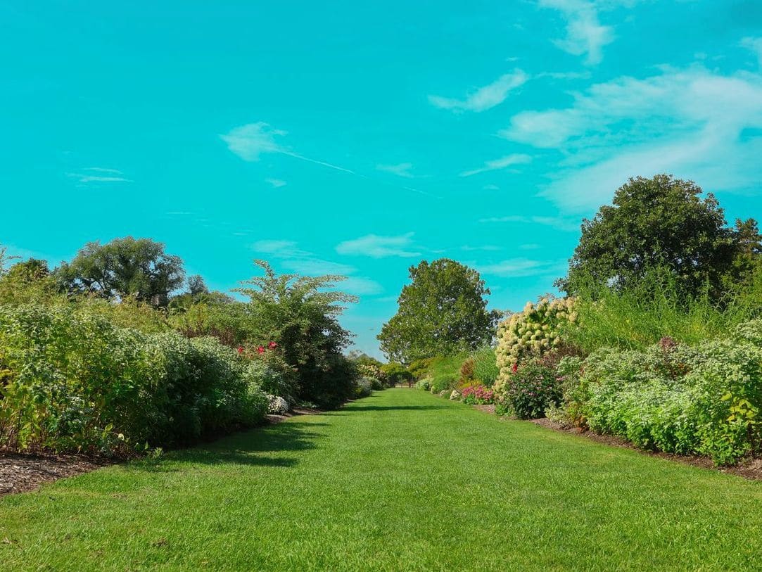 Plantation d’arbres, arbustes et vivaces