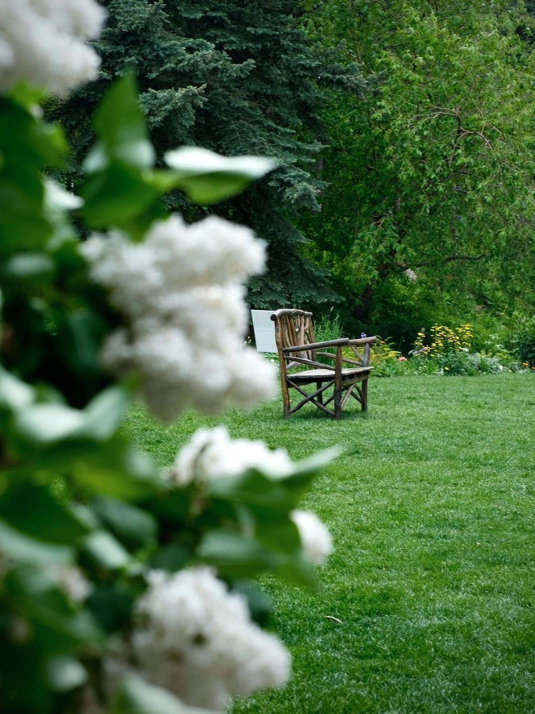 Nettoyage saisonnier de jardins